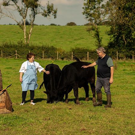 Oranmore バリミーナ エクステリア 写真