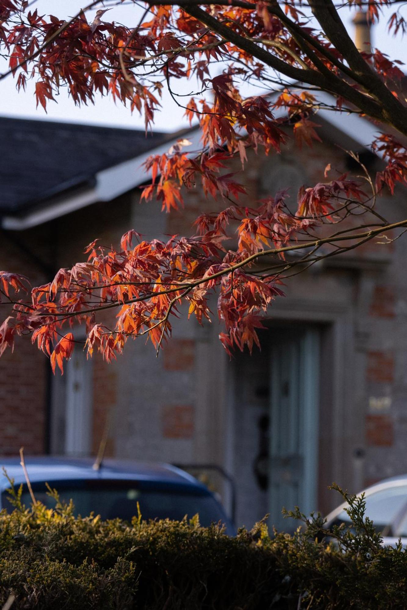 Oranmore バリミーナ エクステリア 写真
